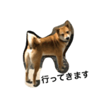 柴犬タケルの挨拶（個別スタンプ：23）