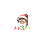 家族日常会話（個別スタンプ：19）