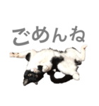 松村レム（個別スタンプ：6）