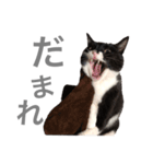 松村レム（個別スタンプ：9）