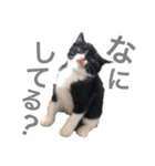 松村レム（個別スタンプ：11）