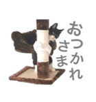松村レム（個別スタンプ：12）