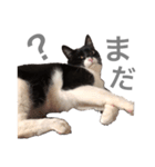 松村レム（個別スタンプ：14）