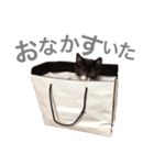 松村レム（個別スタンプ：17）