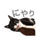 松村レム（個別スタンプ：20）