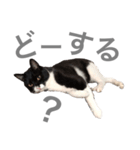 松村レム（個別スタンプ：21）