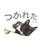 松村レム（個別スタンプ：22）