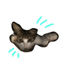 Rain④（個別スタンプ：2）