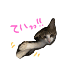 Rain④（個別スタンプ：3）