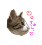 Rain④（個別スタンプ：6）