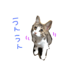 Rain④（個別スタンプ：11）