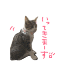 Rain④（個別スタンプ：12）