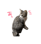 Rain④（個別スタンプ：13）