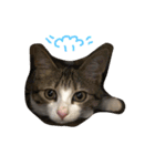 Rain④（個別スタンプ：14）