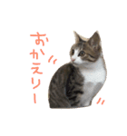 Rain④（個別スタンプ：16）