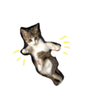 Rain④（個別スタンプ：20）