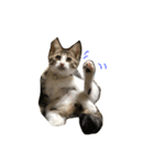 Rain④（個別スタンプ：25）