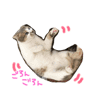 Rain④（個別スタンプ：38）