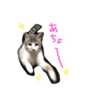 Rain④（個別スタンプ：40）