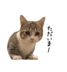 甘えんぼうのよぐ（個別スタンプ：7）