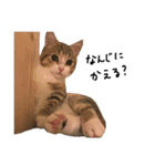 甘えんぼうのよぐ（個別スタンプ：10）
