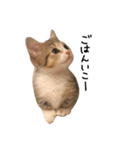 甘えんぼうのよぐ（個別スタンプ：13）