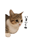 甘えんぼうのよぐ（個別スタンプ：14）
