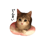 甘えんぼうのよぐ（個別スタンプ：15）