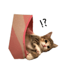 甘えんぼうのよぐ（個別スタンプ：29）