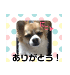 まるとカイトと仲間たち（個別スタンプ：8）