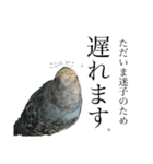 インコでっせっ。PART1（個別スタンプ：38）