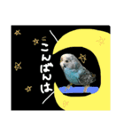 インコでっせっ。PART1（個別スタンプ：39）