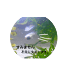 上目遣いのしゃくれメダカ（個別スタンプ：6）