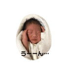 朝陽の日常2（個別スタンプ：1）