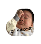 朝陽の日常2（個別スタンプ：7）