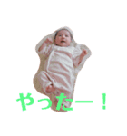 カモンベイビースタンプ（個別スタンプ：37）