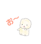 ふわたろうだよ〜（個別スタンプ：12）