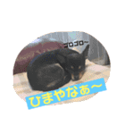 Riku♡Beckham（個別スタンプ：18）