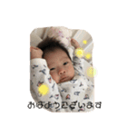 みーちゃんスタンプ40（個別スタンプ：26）
