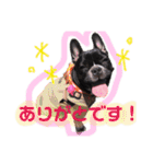 フレブル びったん②（個別スタンプ：19）