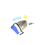 はむ☆はな（個別スタンプ：24）