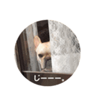 ころろとたろろ（個別スタンプ：11）