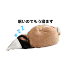 ころろとたろろ（個別スタンプ：39）