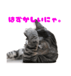 opan.com（個別スタンプ：1）