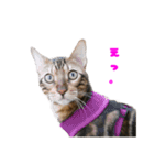opan.com（個別スタンプ：6）