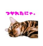opan.com（個別スタンプ：7）