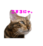 opan.com（個別スタンプ：15）