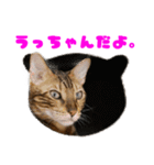 opan.com（個別スタンプ：23）