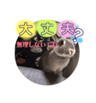 そらちゃん癒しスタンプ（個別スタンプ：1）