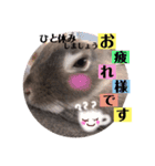 そらちゃん癒しスタンプ（個別スタンプ：4）